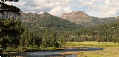 Yellowstone National Park