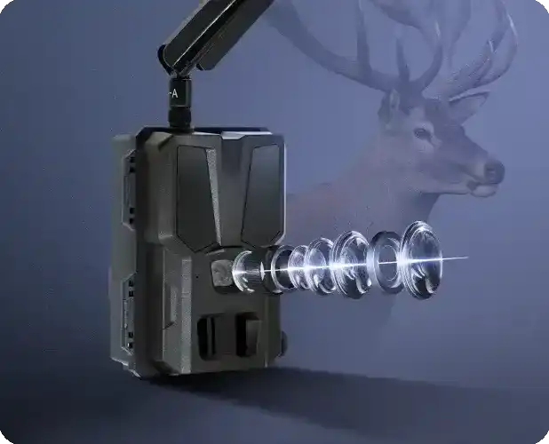 Camera-Customization