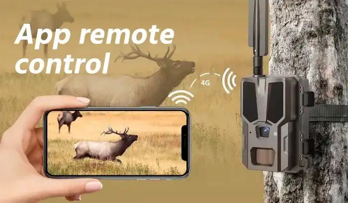 growth-of-trail-camera