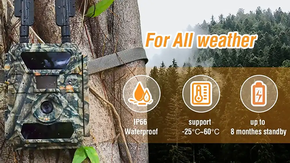 How to Boost Trail Camera Signal with Long-Range Antennas