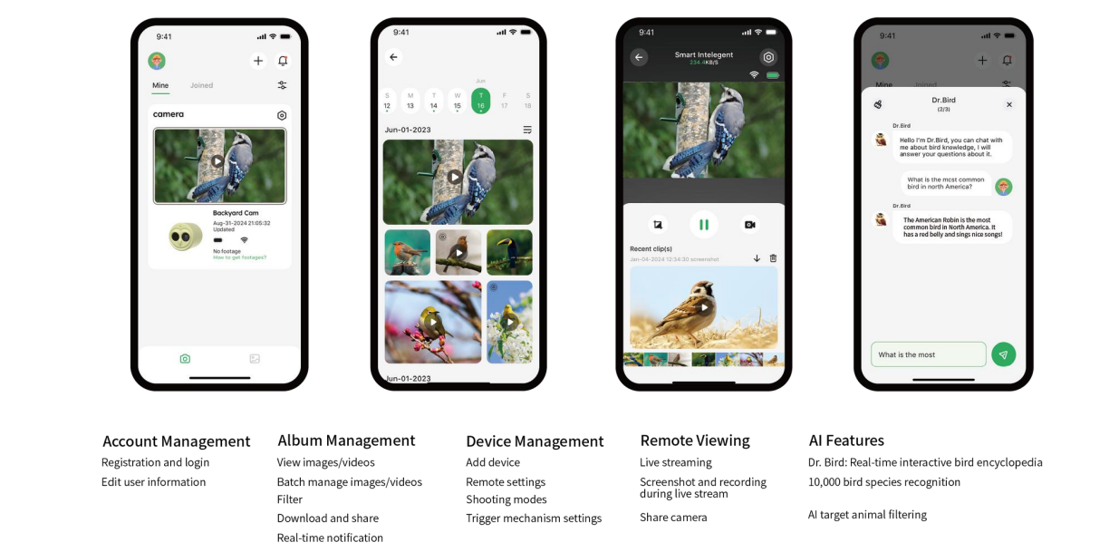 APP Interface Customization