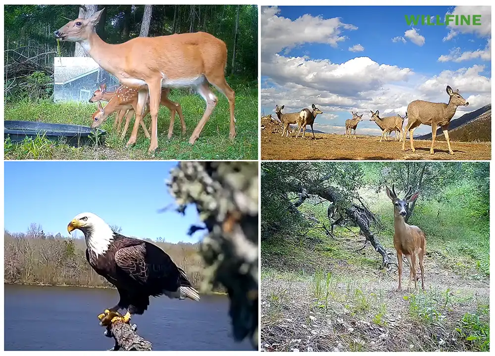 OEM Procurement Guide: Beyond Price—The 3 Pillars of a Reliable Chinese Partnership