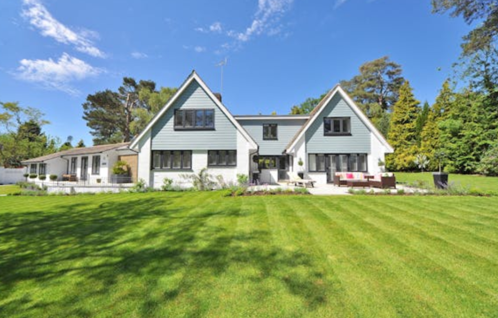 Customization Potential