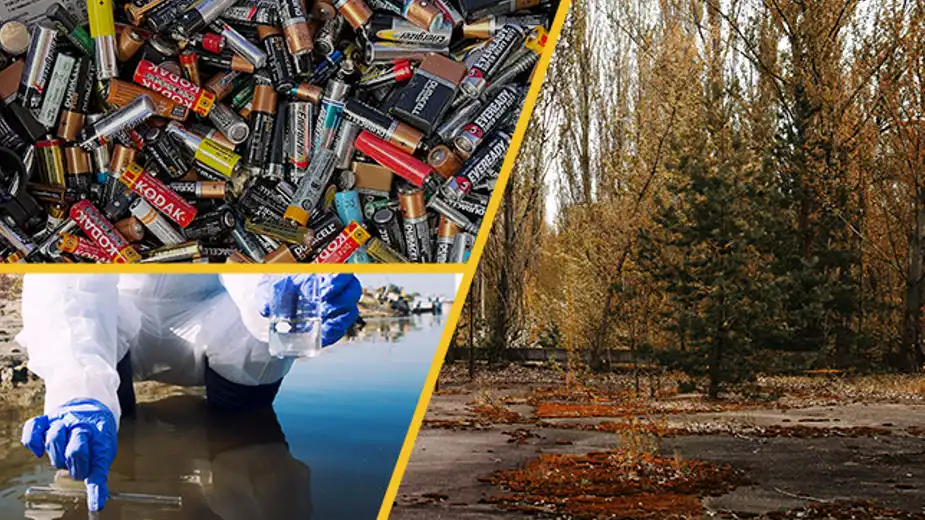 Sustainability Impacts