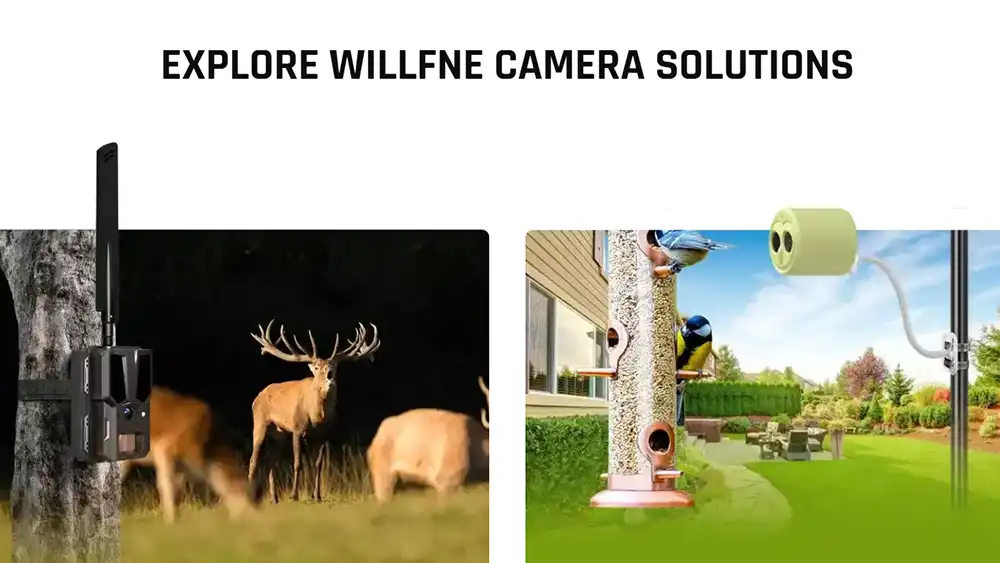 Willfine's Customized Solutions