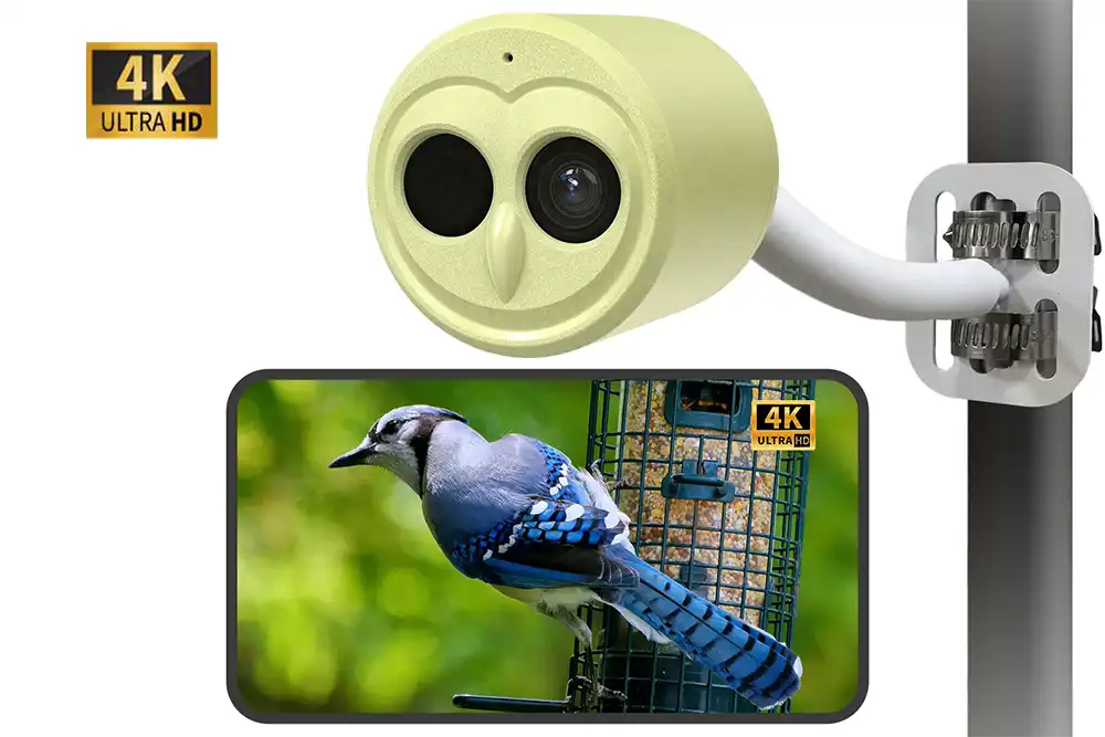 Willfine Birdkam800 AI Bird Watching Fits Right in Any Backyard