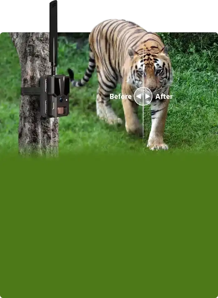 Trail Camera Solutions
