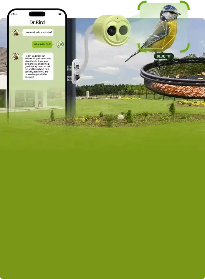 Smart Bird Camera Solutions