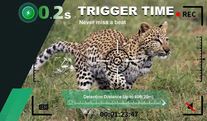 trigger speed of 0.2-0.4 seconds