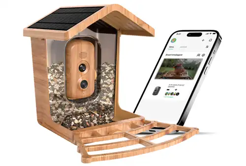 Willfine BK600 4K AI Smart Bird Feeder Camera