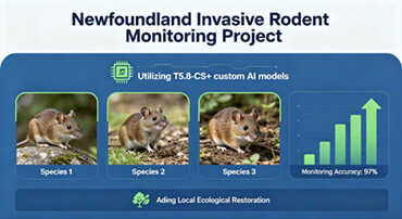 Newfoundland-Invasive-Rodent-Monitoring-Project